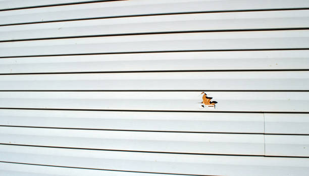 Best Dumpster Rental Services  in Mascotte, FL